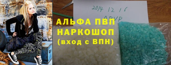 стаф Каменногорск
