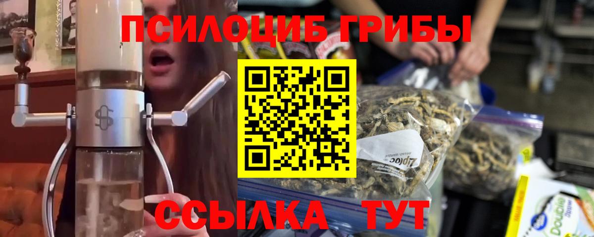 Псилоцибиновые грибы Psilocybe  Псилоцибиновые грибы MAGIC MUSHROOMS  Вход с VPN  Вятские Поляны 