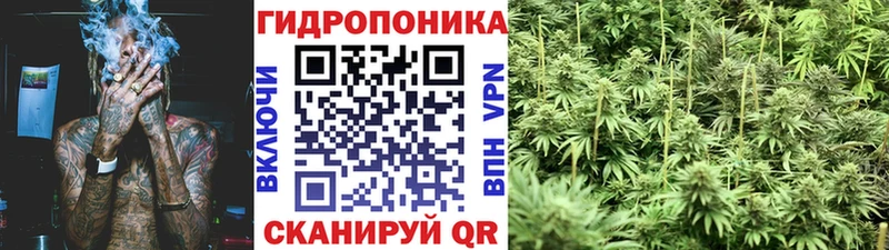 Марихуана тримм  Вятские Поляны 